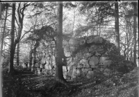 Skog, Sankt Olofs kapellruin