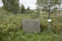 Image of Sö 198