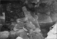 Skara domkyrka (Sankta Maria kyrka)