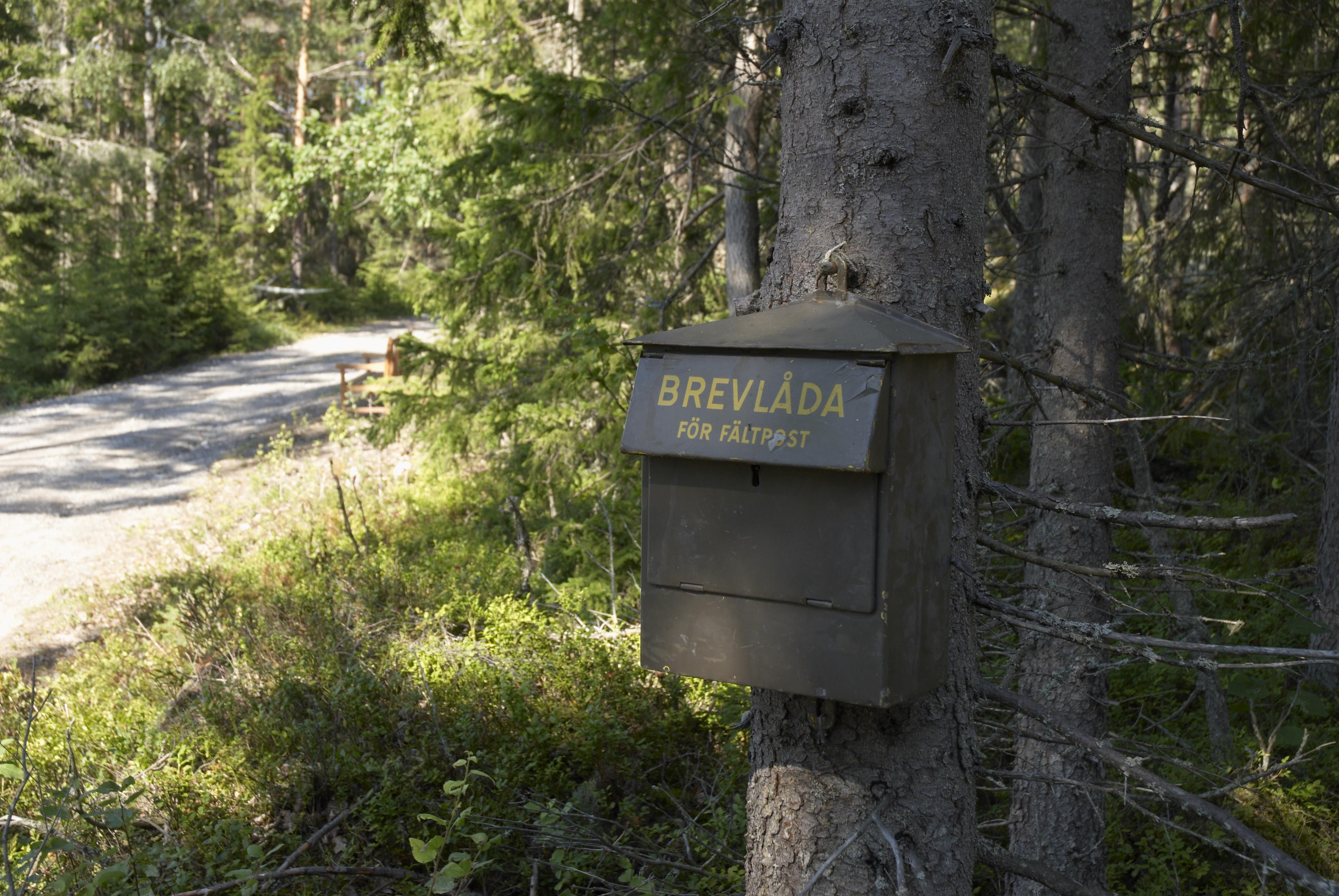 Bengt A Lundberg, Hemsö fästning