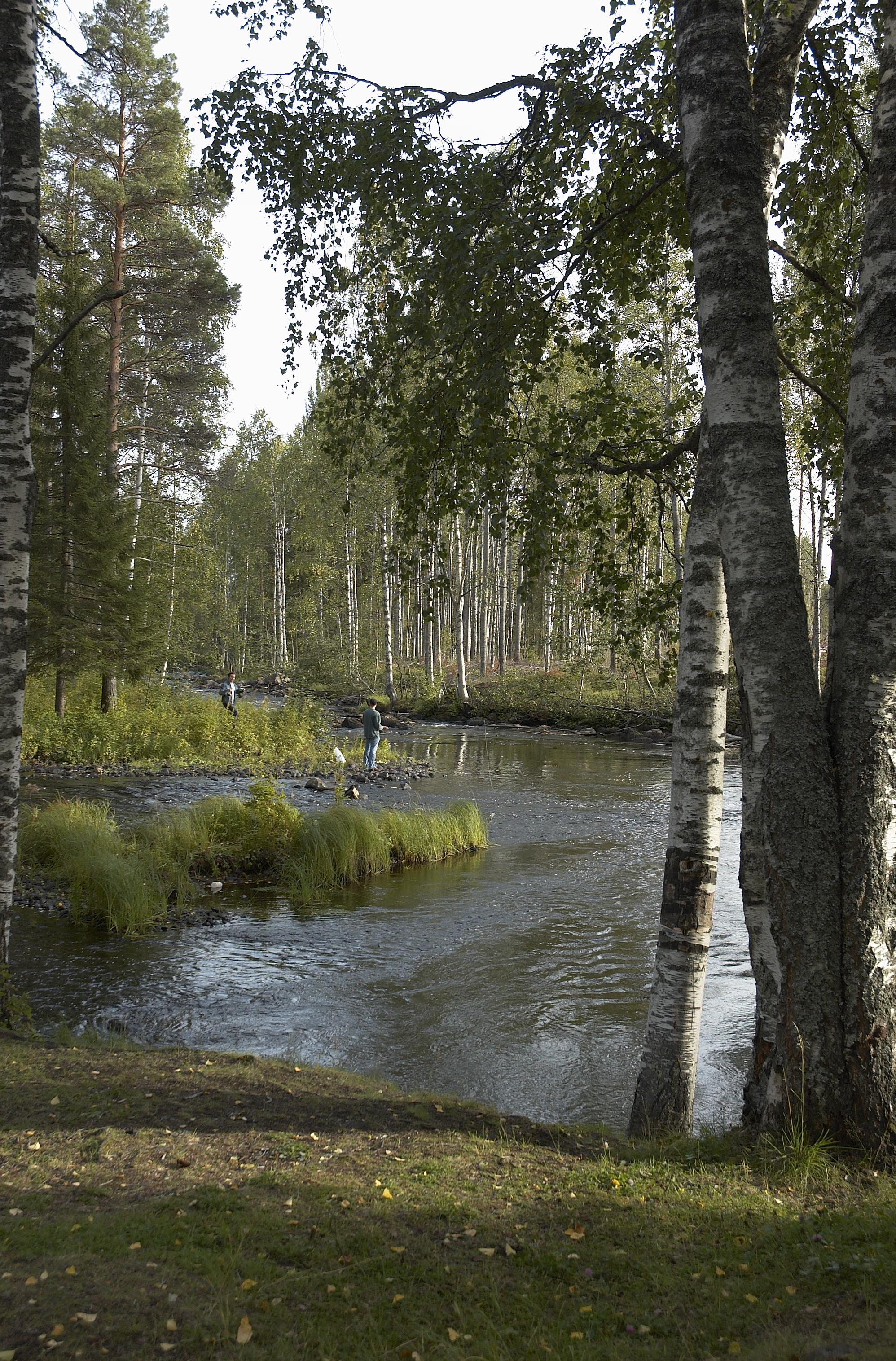Bengt A Lundberg, Selets bruk