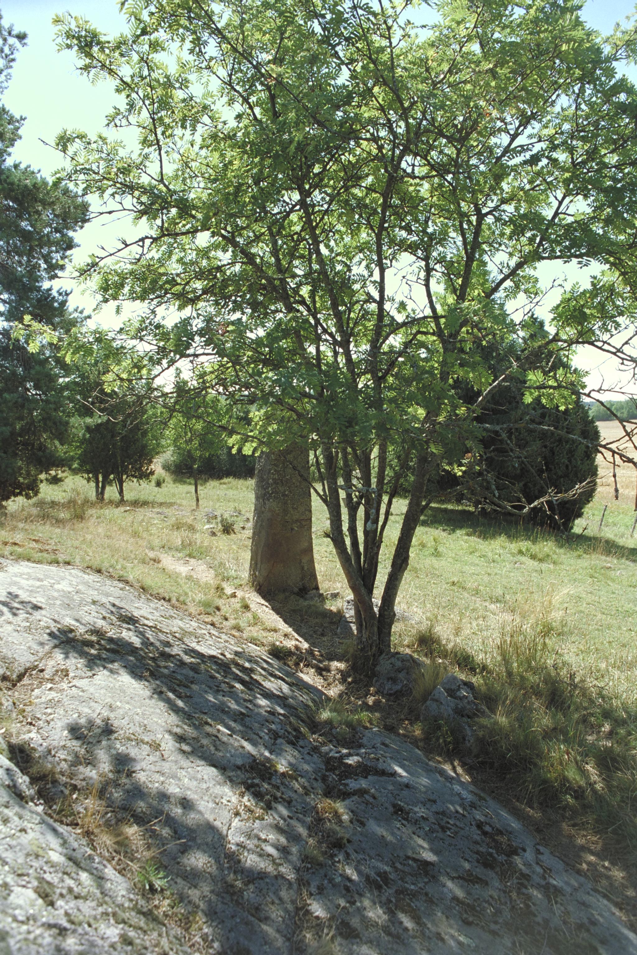 Bengt A Lundberg, Sö189 Åkerby