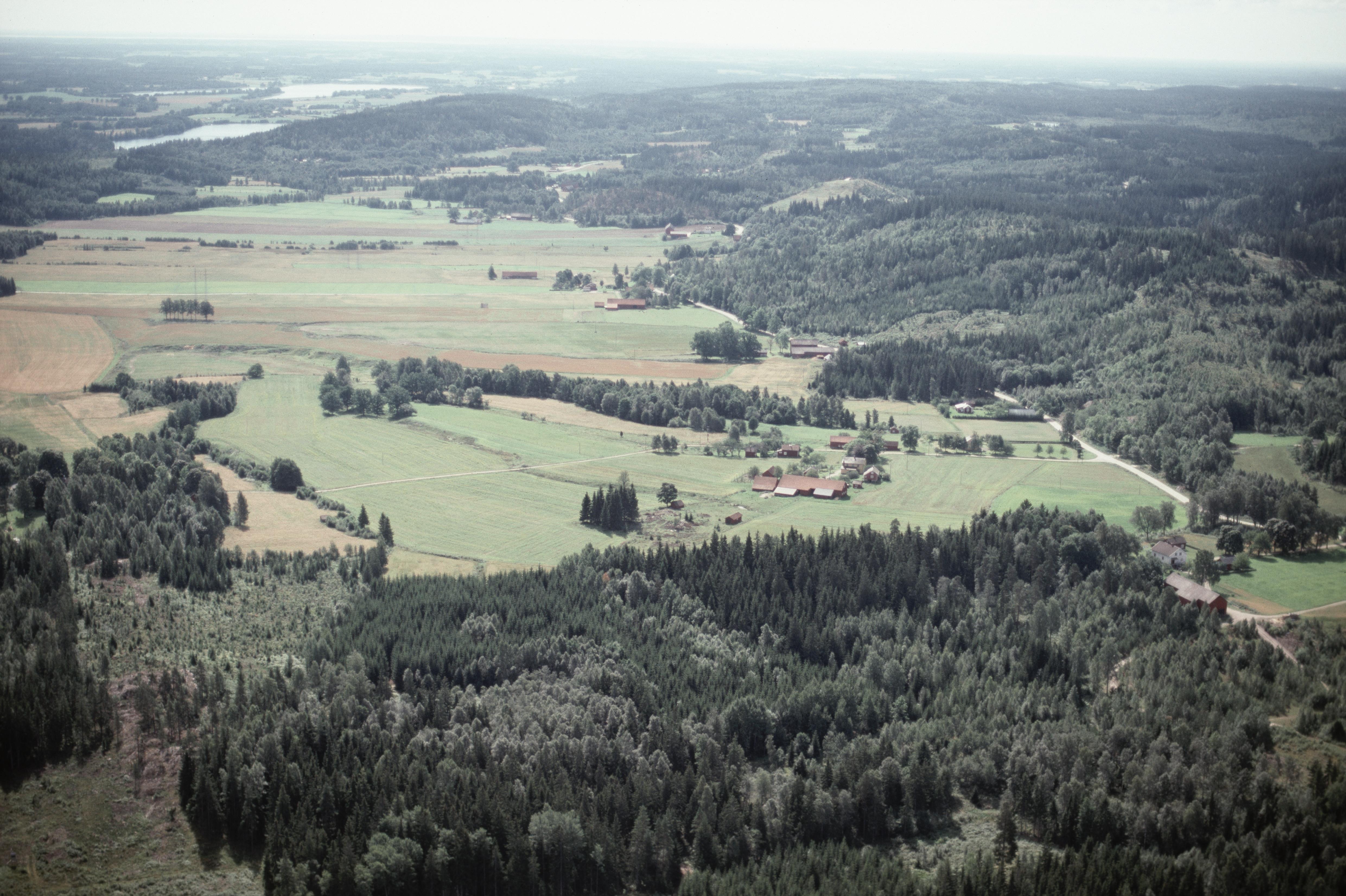 Jan Norrman, Dalskog 48:1