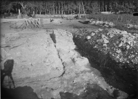 Varnhems klosterruin