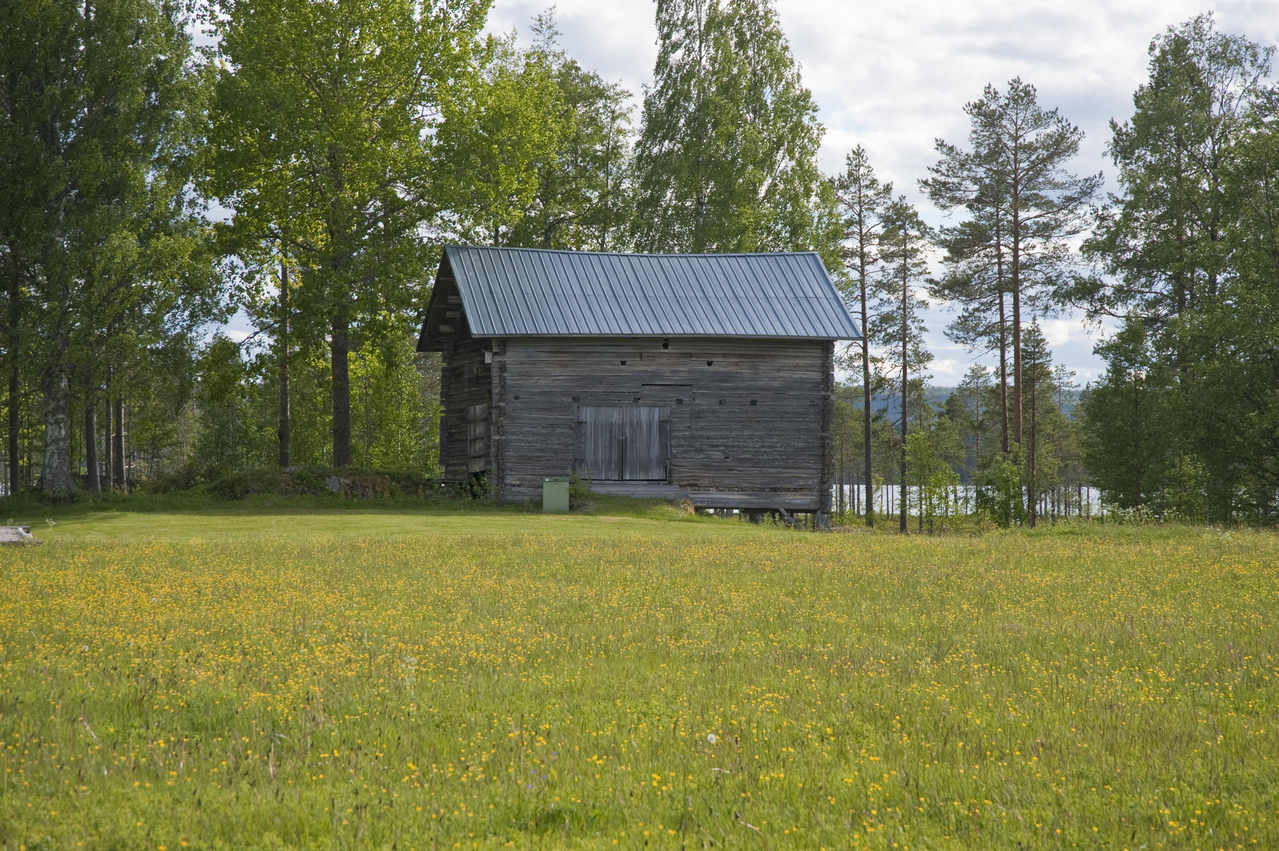 Bengt A Lundberg, Ljusdal Fågelsjö 1:1