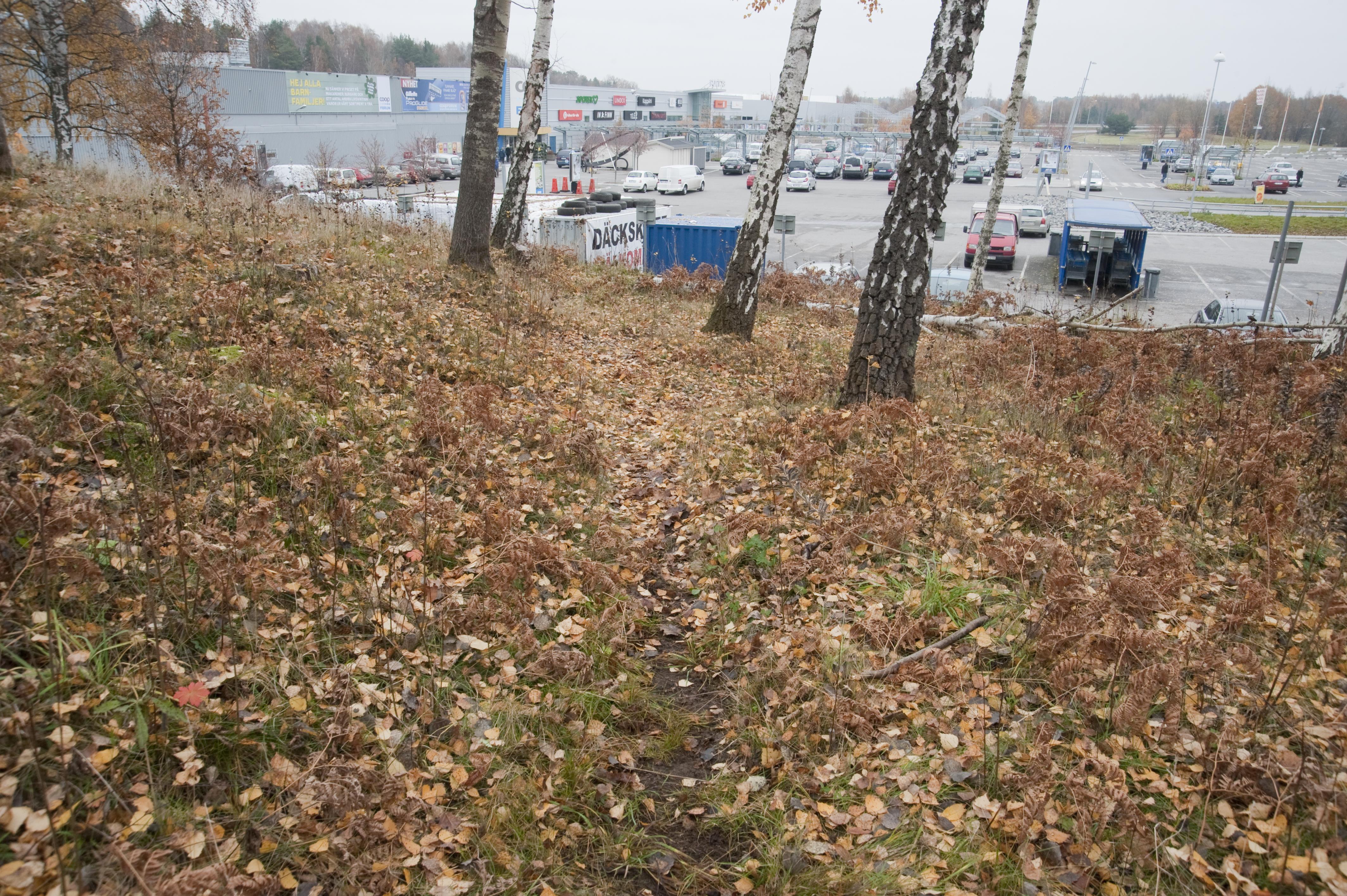 Bengt A Lundberg, Haninge