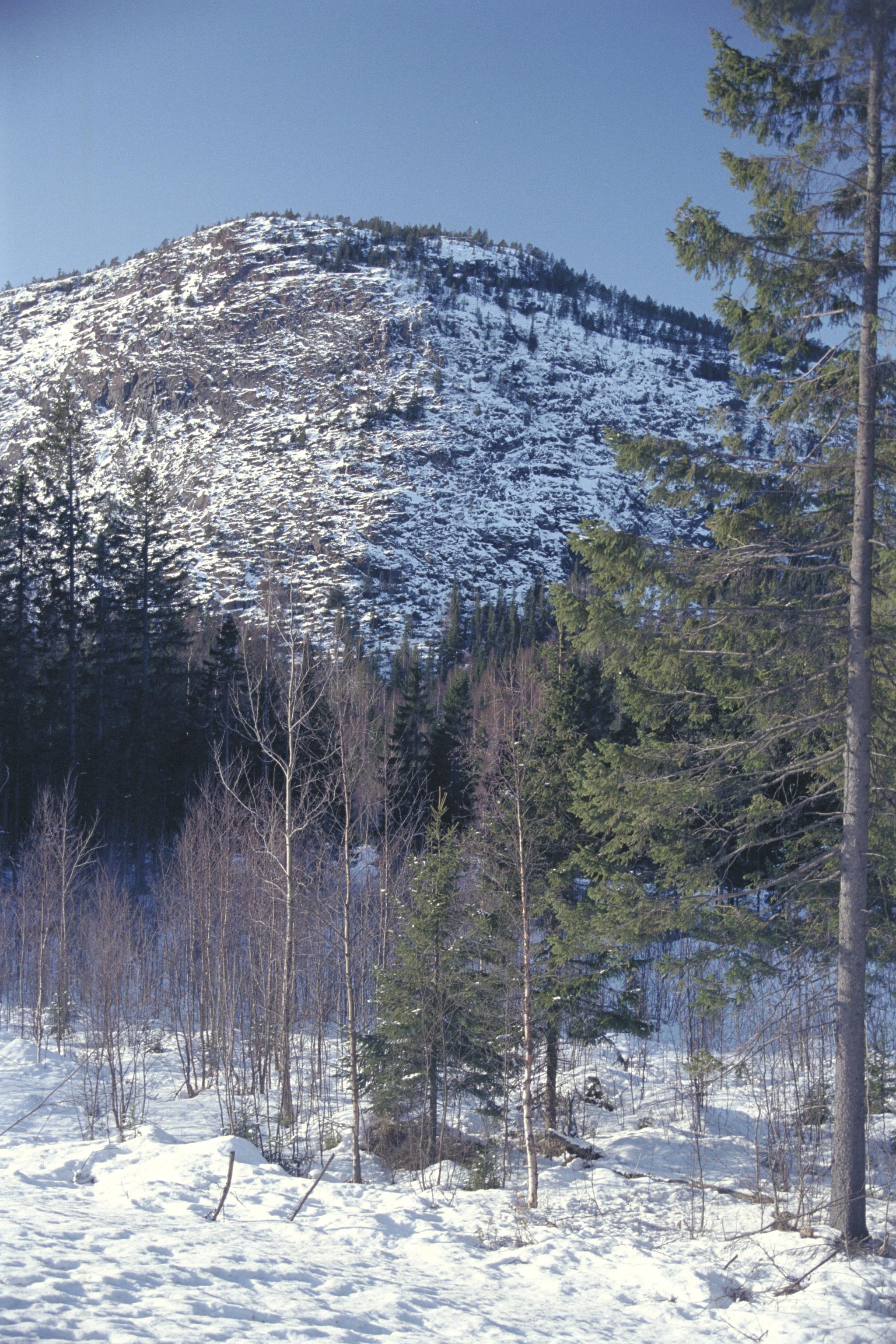 Bengt A Lundberg, Skuleberget