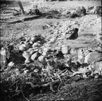 Sigtuna Dominikanerkloster