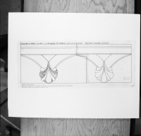 Skara domkyrka (Sankta Maria kyrka)