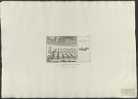 Skiördahlsporten i perspective.[Bild]