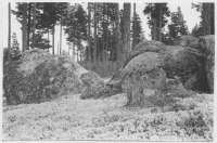 Järnvägen Kropptjärn - Fågelsjö