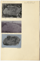 Lifsinge. Runsignum Sö 9