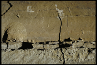 Image of Or Barnes21