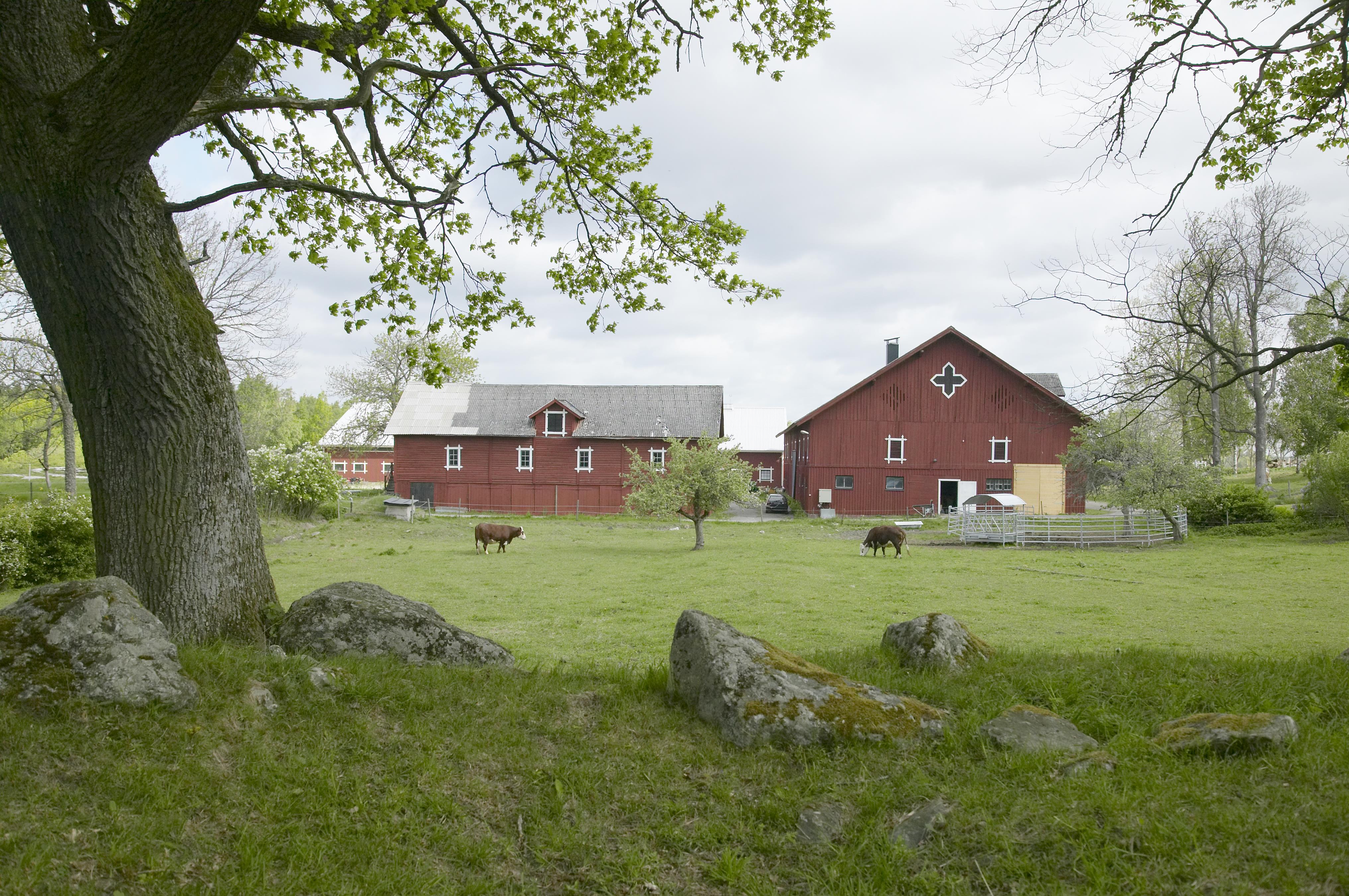 Bengt A Lundberg, Kungsbergs kungsgård