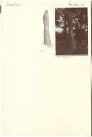 Boberg. Runsignum Ög 38, Fornåsa sn