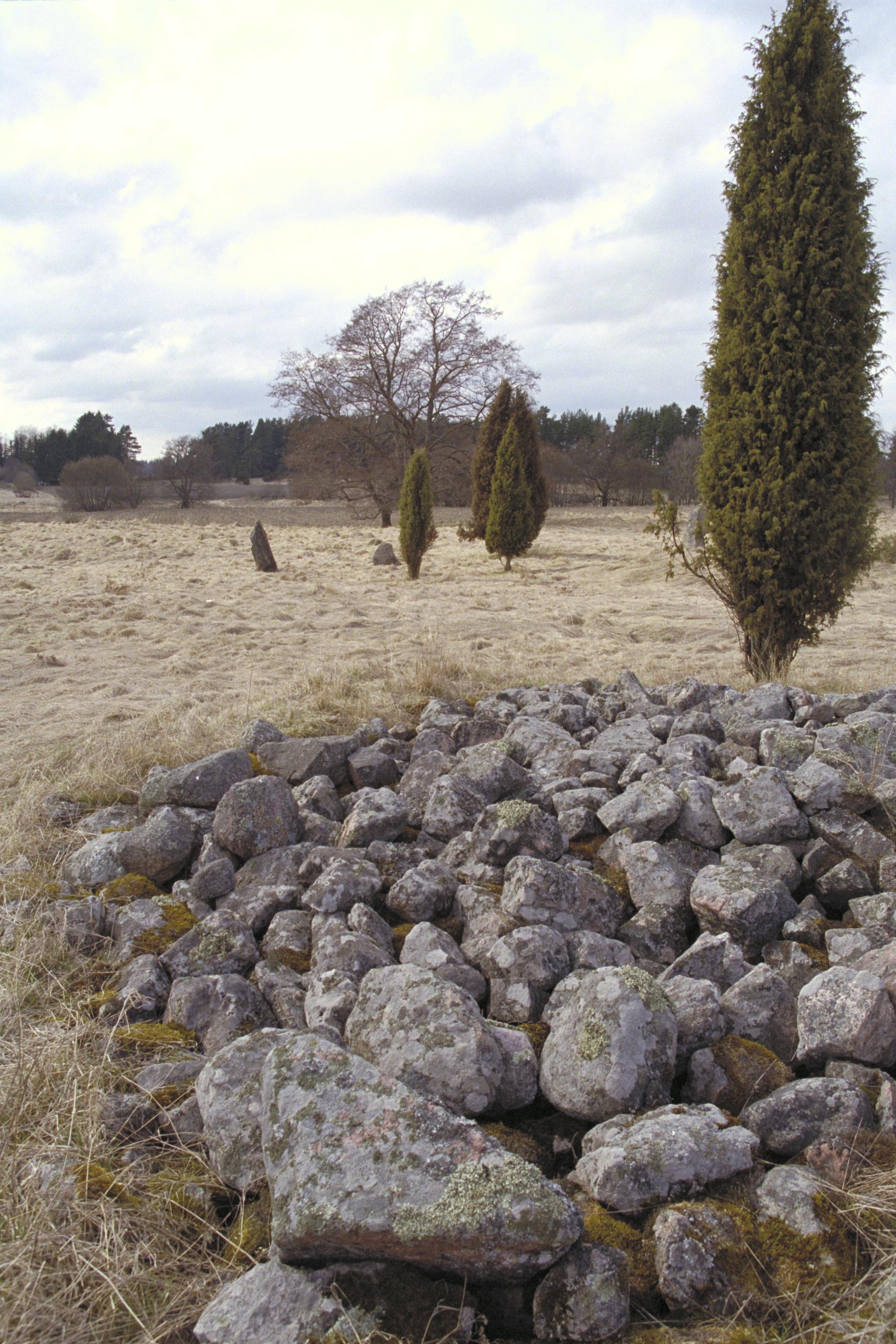 Bengt A Lundberg, Gödåker