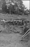 Fors, Ekeby kyrkoruin