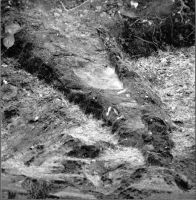 Stora Kils ödekyrkogård