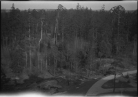 Stiftelsen Rödakorshemmet