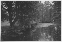 Stora Lassåna herrgård