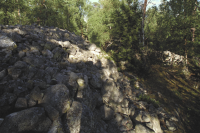 Fornborgen Stora Skansen