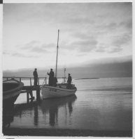 Gotland havet i skymningen