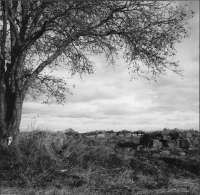 Vintrosa, Granhammars kyrkoruin