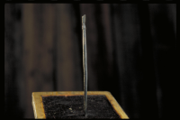 Image of DR EM85;469