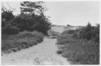 Harplinge socken, sanddyner