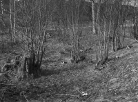 Kramfors, Gudmundrå kyrkoruin