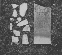 Vadstena Klosterkyrka