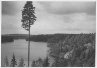 Klofstjärn, belysning vid vägen sydost om Bengtsfors