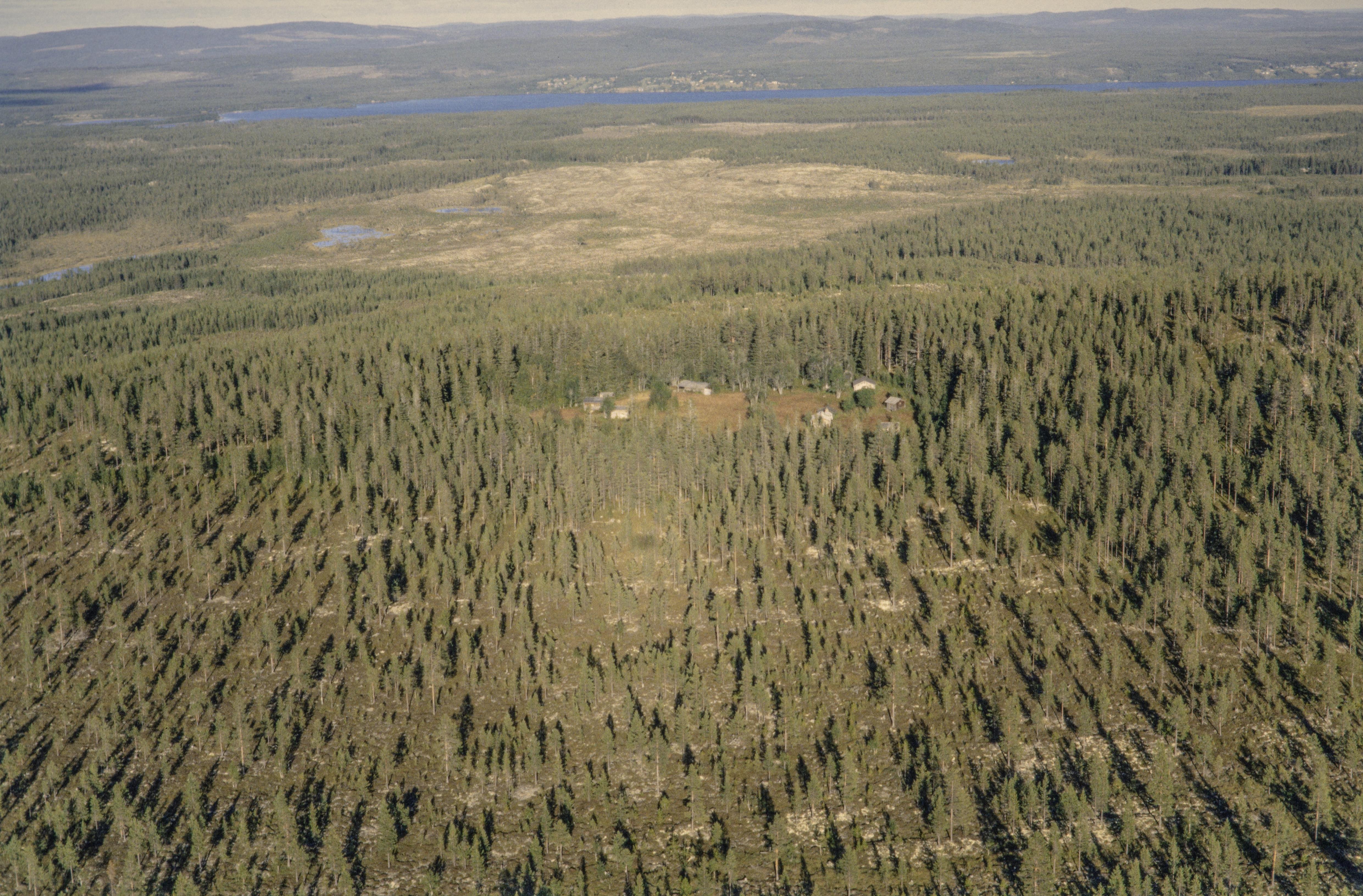 Jan Norrman, Lillhärdal 249