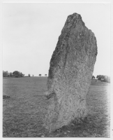 Ekornavallens gravfält