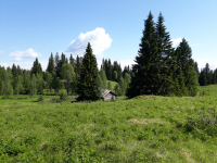 Prästbodarnas fäbod