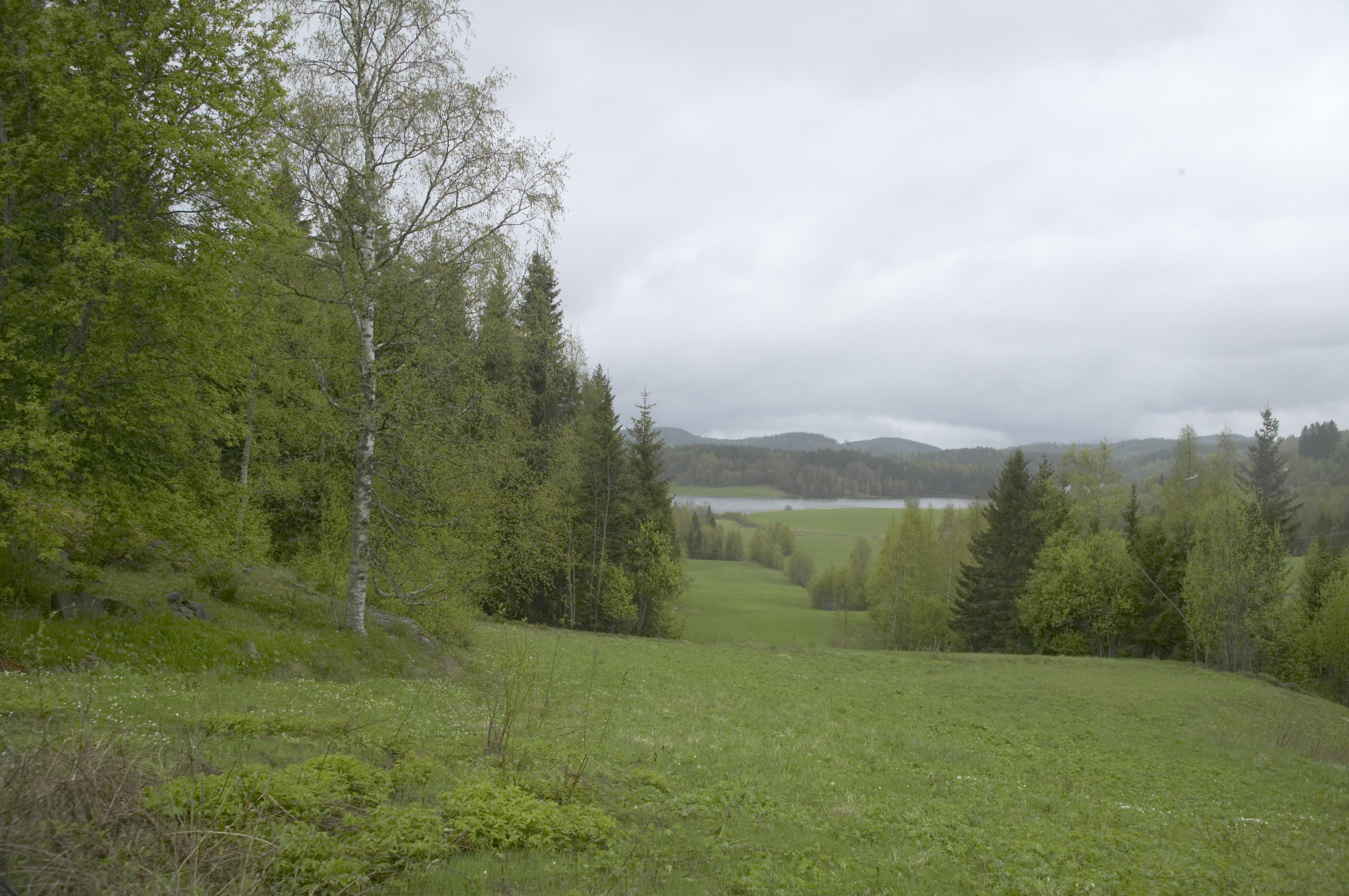 Bengt A Lundberg, Överveda
