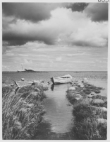 Källahamn, strandäng