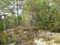 Image of Sö 47