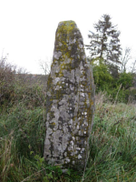 Image of Sö 93