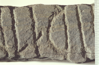 Image of Sm NOR2001;25