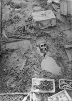 Alvastra pålbyggnad