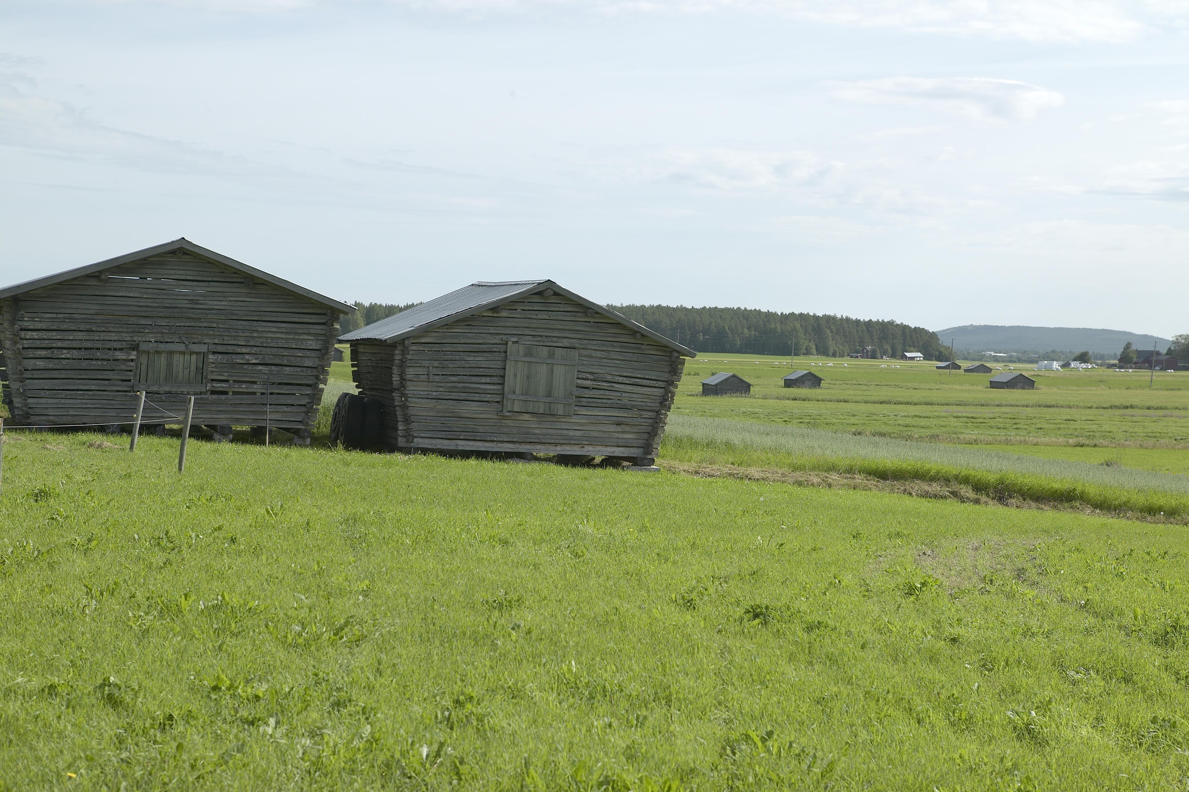 Bengt A Lundberg, Lillpite