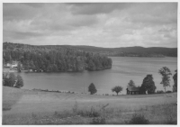 Laxsjön, vägen mellan Skåpafors och Billingsfors