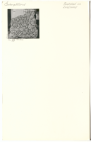 Fivelstad kyrka. Runsignum Ög Fv1969;306, Ljung 268