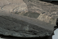 Image of U Fv1974;213