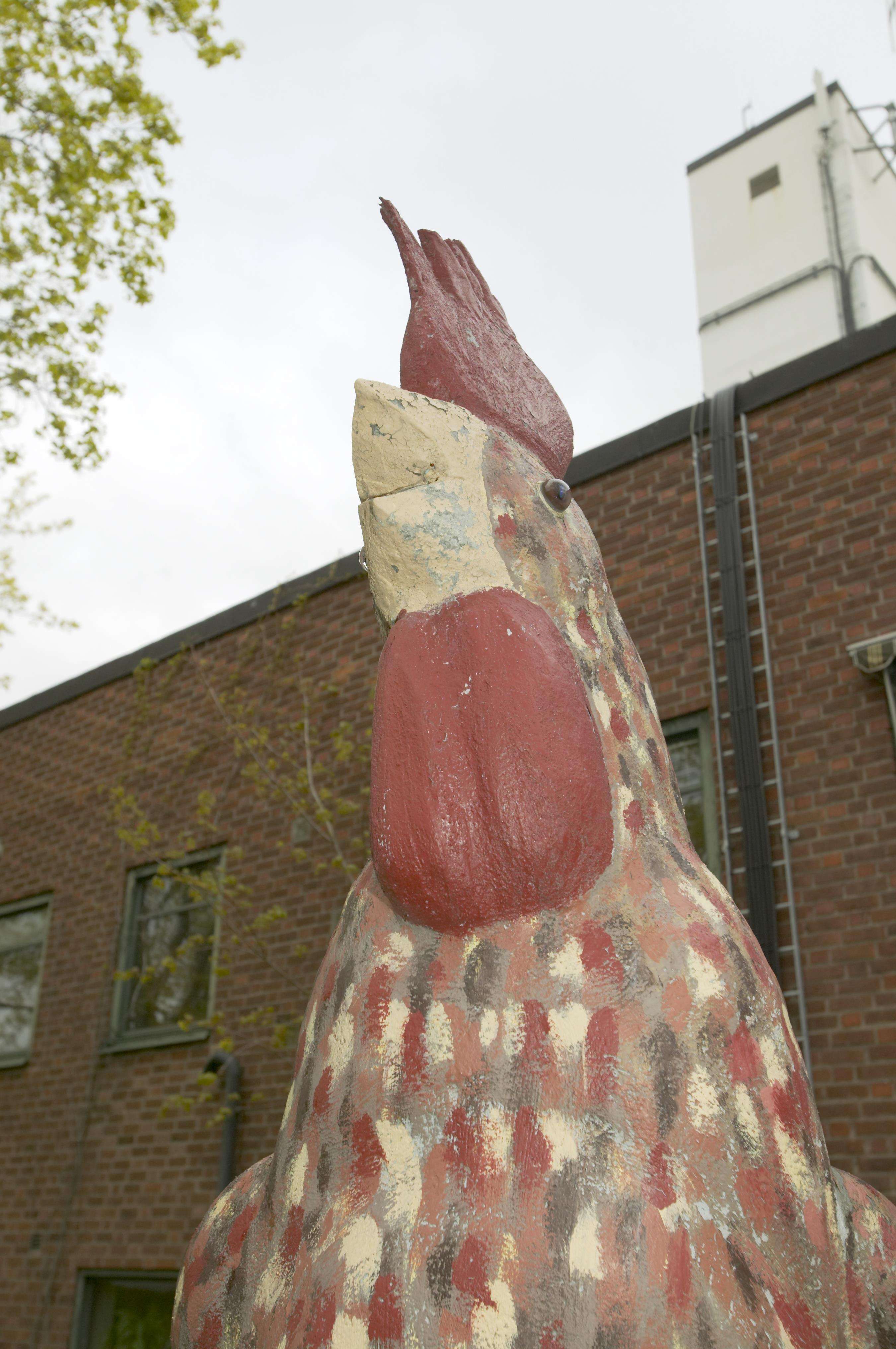 Bengt A Lundberg, Örnsköldsvik