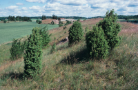 Husby-Långhundra socken