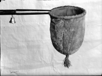 Image of DR Fv1968;282