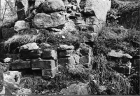 Skog, Sankt Olofs kapellruin