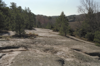 Litsleby Forskningshällen